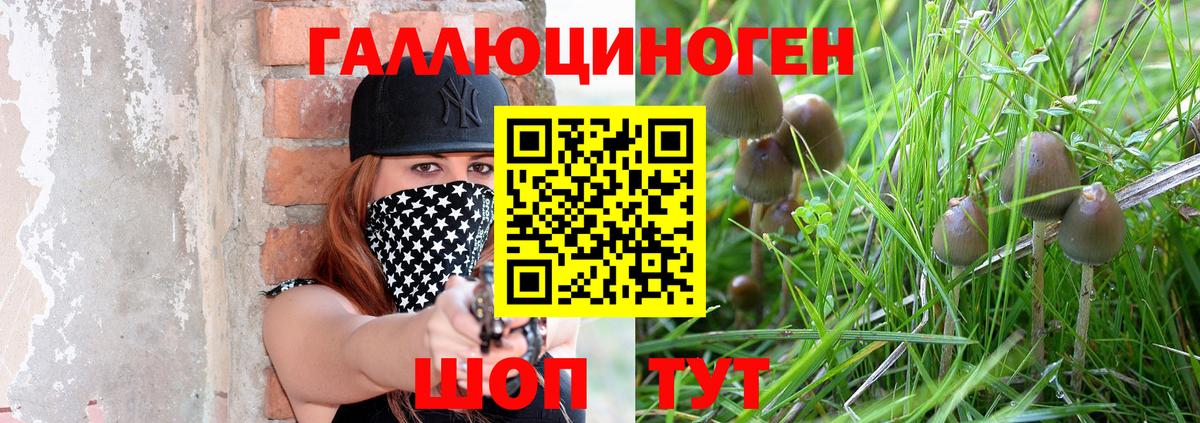 наркота  Галлюциногенные грибы прущие грибы  Вход с VPN  Дмитров 